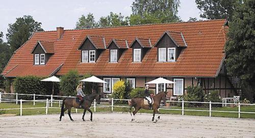 Heidehotel Gut Landliebe هيرمانسبرغ المظهر الخارجي الصورة